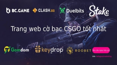 Bet CSGO là gì? Kinh nghiệm chơi kèo cá cược Bet CSGO